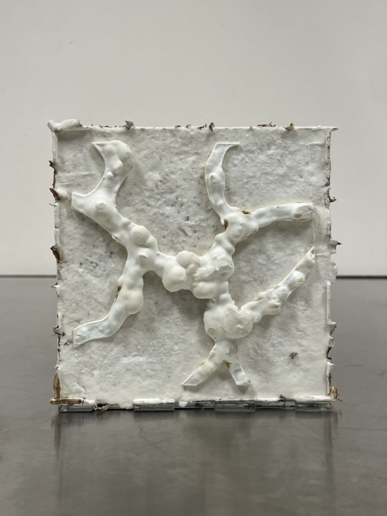 Mycelium grown within patterned constraints, allowing autonomous growth to redefine form and texture